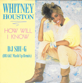 Whitney Houston x Drake "How Will I Know"(DJ SHU-G Mash Up Remix)